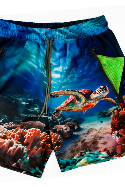Tortuga